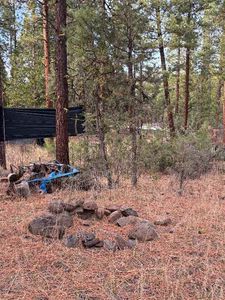 No Address, Dorris, CA, 96023