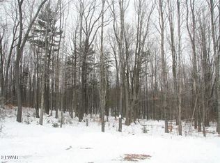 Star Pond Rd, Susquehanna, PA 18847