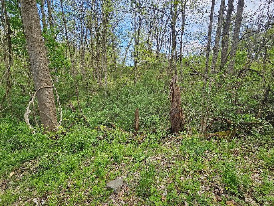 1st image of Miller Ave