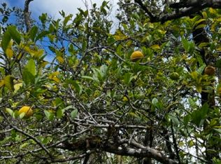 112647 Ohialani Rd #24, Volcano, HI 96785