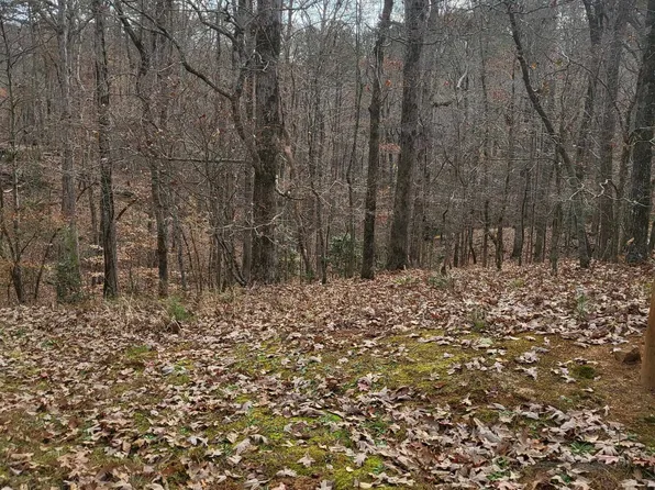 32B N Falling Waters Dr, Demorest, GA 30535