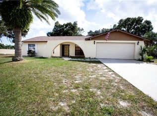 738 Caliente Dr, Brandon, FL 33511