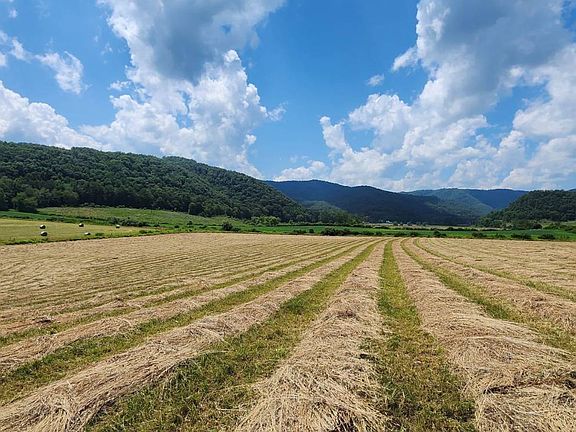 75th image of this home