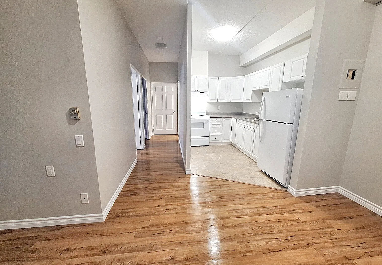 Albert Terrace Apartments - Choose your rent level - Call for Details - All utilities — Photo 1