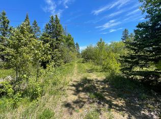 8419 S Maple Rd, Dafter, MI 49724