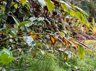 Hokuimoimo St LOT 46, Pahoa, HI 96778