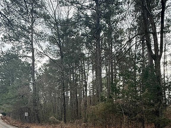 4th image of 9040 Marsh Mountain Rd