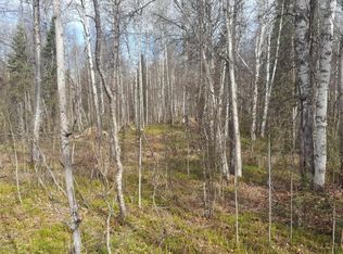 16071 E Sunshine Lake West Dr, Talkeetna, AK 99676