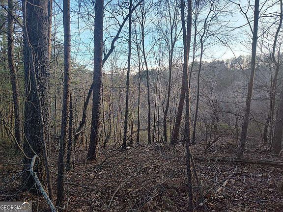 4th image of 1058 Mayfield Ln NE