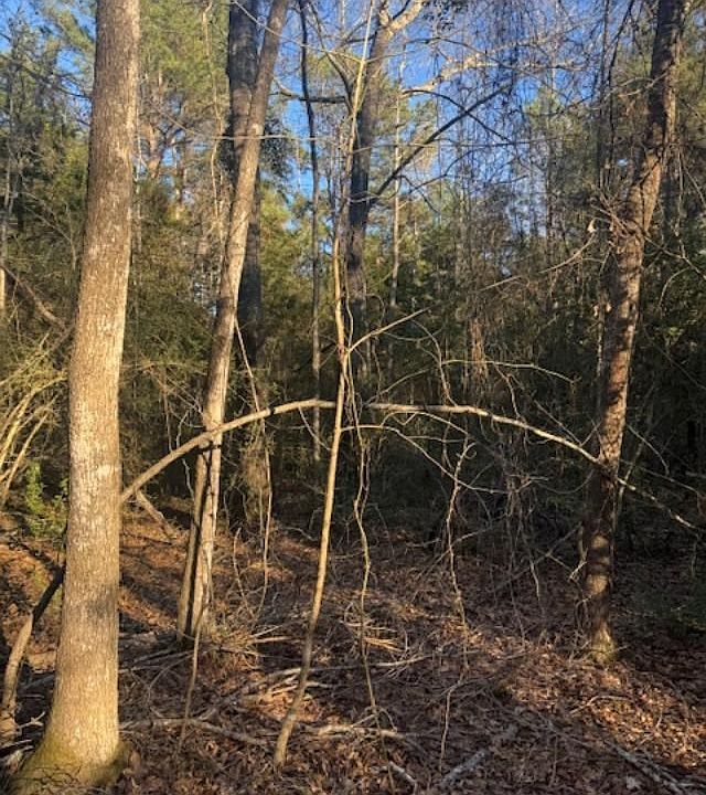 2nd image of 0 Fm 542