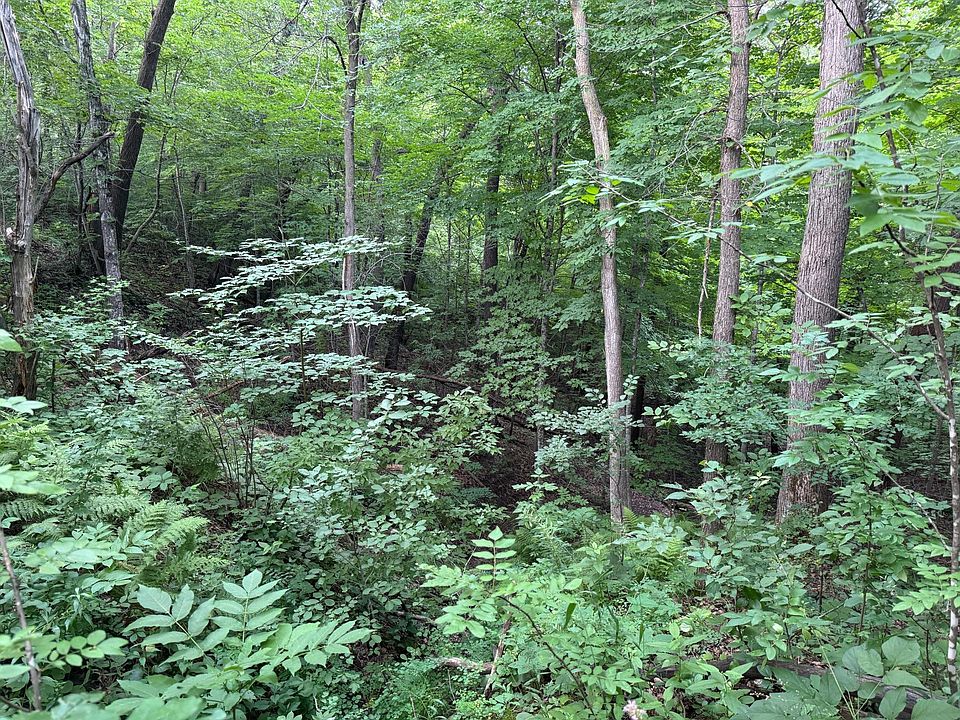2nd image of 244th Rd