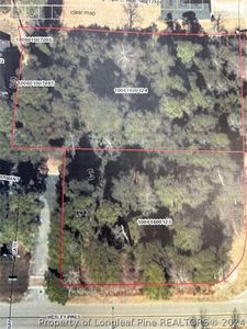 815 Wesley Pines Rd, Lumberton, NC, 28358