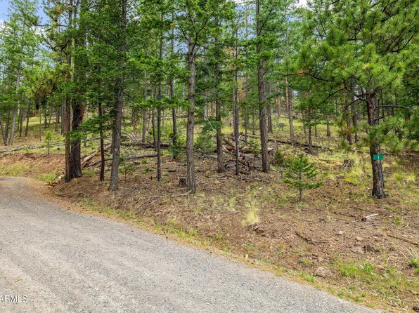 17 County Road N 1068 Greer Acres -- #39, Greer, AZ 85927