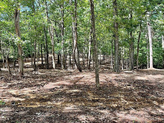 Newly cleared property