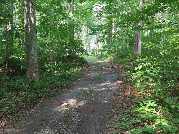 3rd image of 1517 Shenandoah Mountain Dr