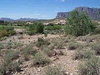 1st image of 4075 S Camino De Vida