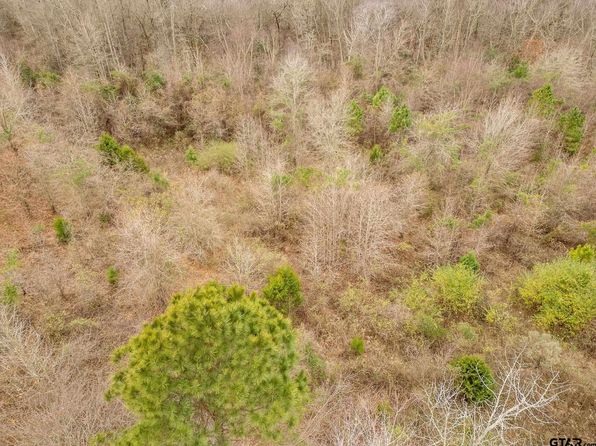Fm, Gilmer, TX 75644