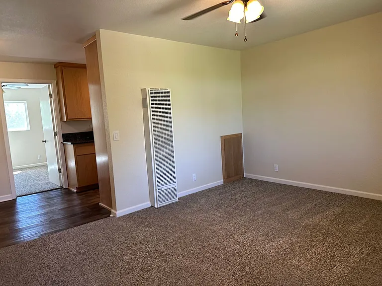 Ivy Common Apartments — Photo 4