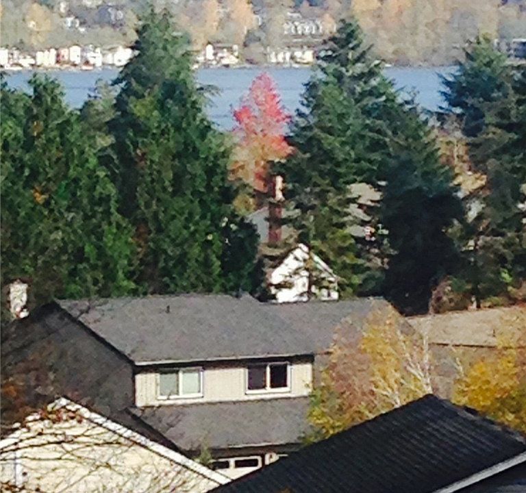 1st image of 4737 W Lake Sammamish Pkwy SE APT A207