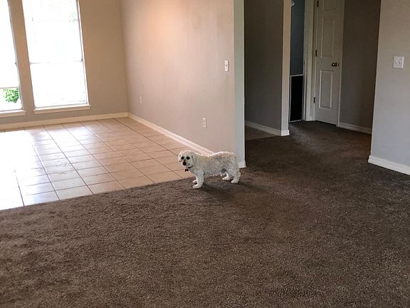 5th image of 1314 E Rachel Ln