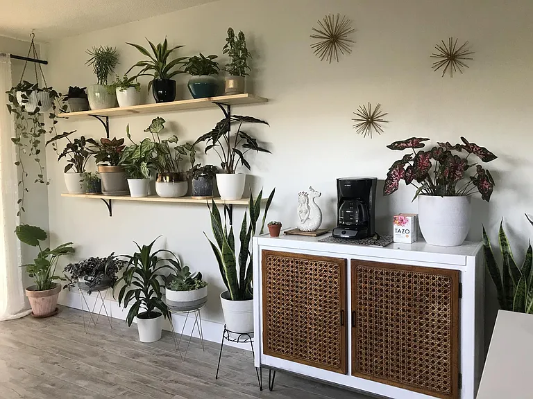 Extra living/dining space connected to the kitchen. Also makes a great plant room!