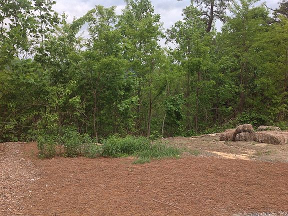 Easy Access From Street