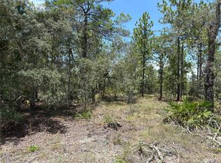 12179 Scarlet Ibis Ave LOT 3, Brooksville, FL 34614