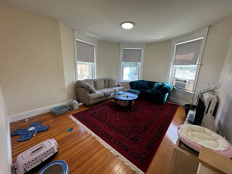41 Egremont Rd #3