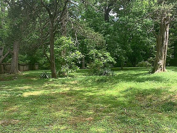 5th image of 1897 Buchanan Hwy