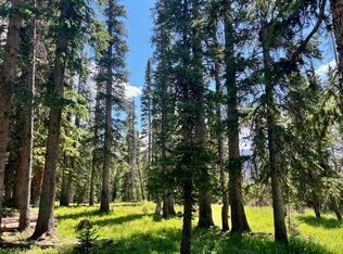 38 Hope Lake Rd #627, Ophir, CO 81426