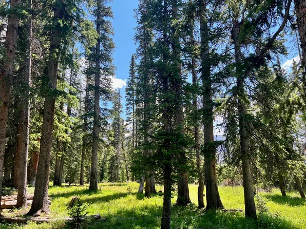 38 Hope Lake Rd #627, Ophir, CO 81426