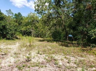 6394 Biltmore Ave #15, Webster, FL 33597