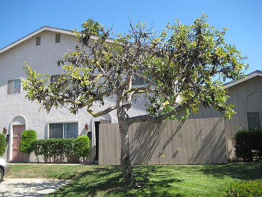 1st image of 7861 Camino Glorita