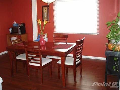 Lots of natural light*View from Great Room