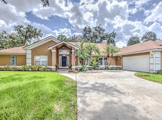 3919 Northridge Dr, Valrico, FL 33596