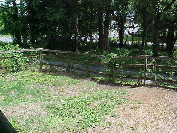 Fenced Backyard
