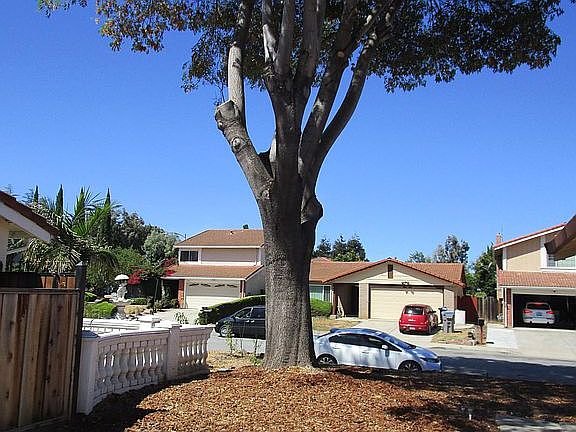 3rd image of 2830 Deerwood Dr