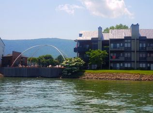 6605 Smith Mountain Rd APT 103, Penhook, VA 24137