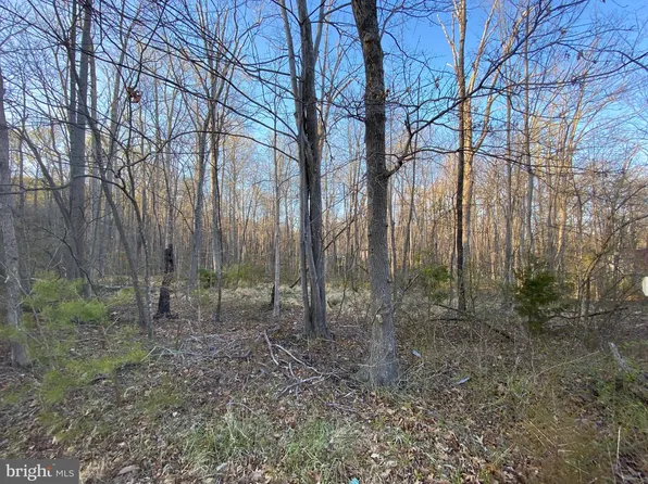 2171 Logmill Rd, Haymarket, VA 20169