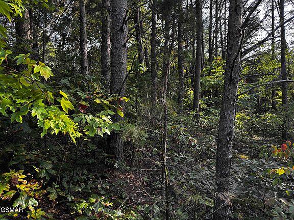 5th image of LOT 60 Pembroke Dr