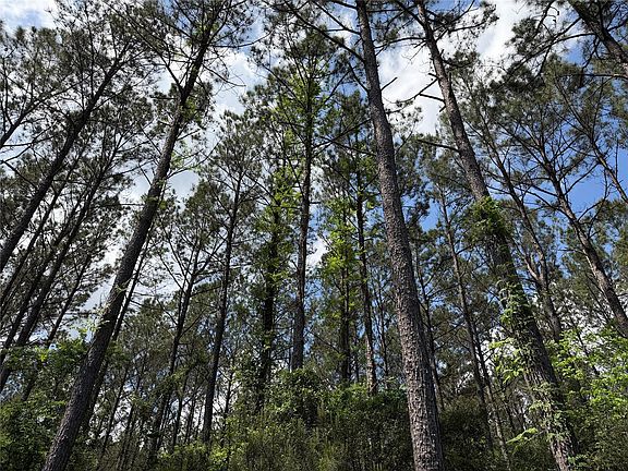 3rd image of 15693 Wooded Trail Way Lot 14