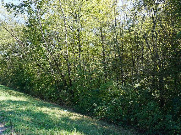 2nd image of Asheville Hwy