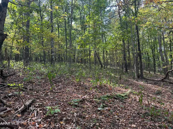LOT 8 Glade Pike, Manns Choice, PA 15550
