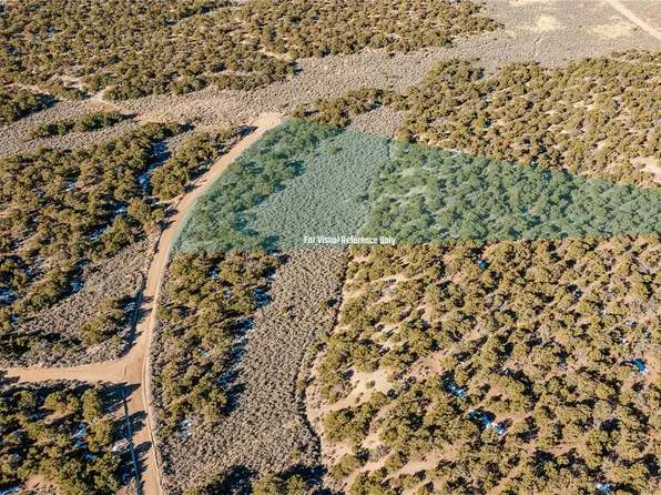 Creelman Drive, Fort Garland, CO 81133