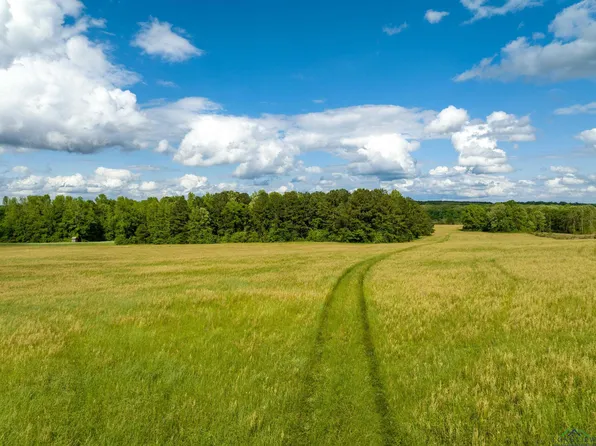 0 Fm 2791, Atlanta, TX 75551