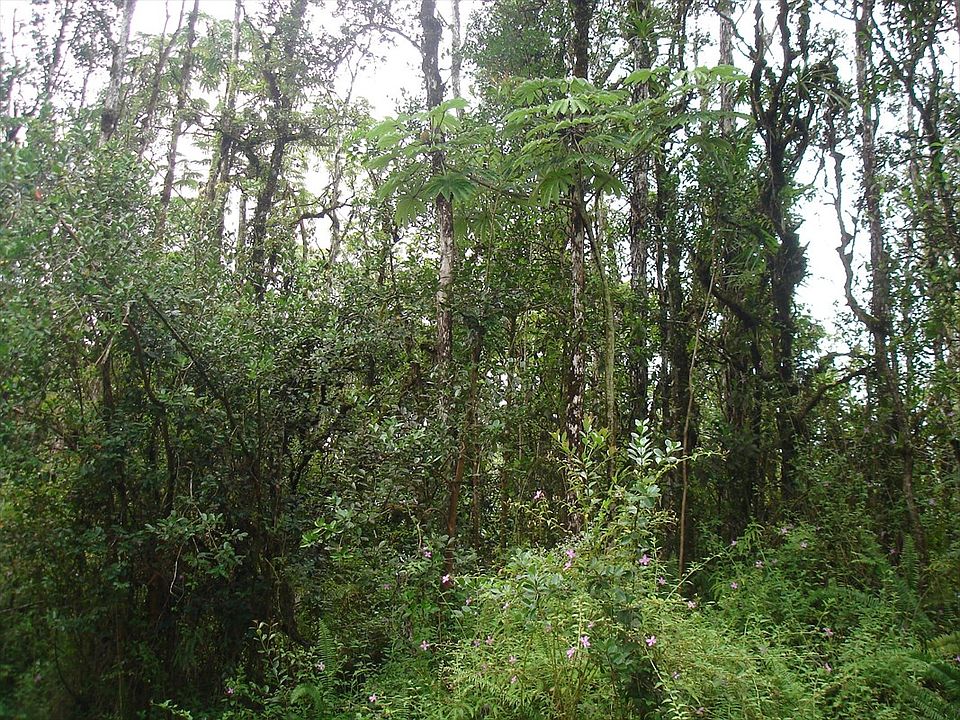 2nd image of Kahoolawe Rd Lot 679