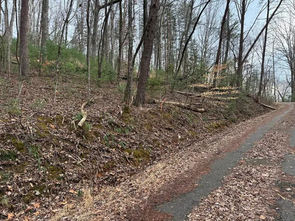 29-30 Sunset Dr W, Young Harris, GA 30582