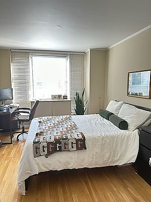 5th image of 1 Irving Pl APT V14d