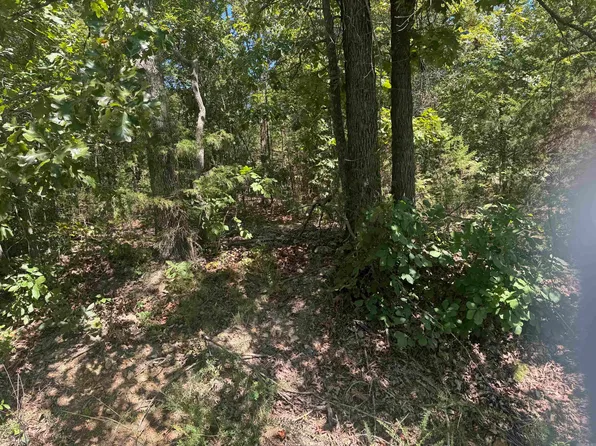 0 Lynette Ave, Bull Shoals, AR 72619
