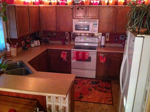 Ceiling Fan & Cable Feed